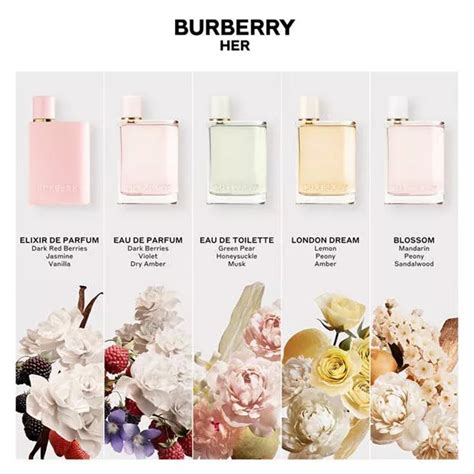 peesbeschermers burberry|burberry her fragrance.